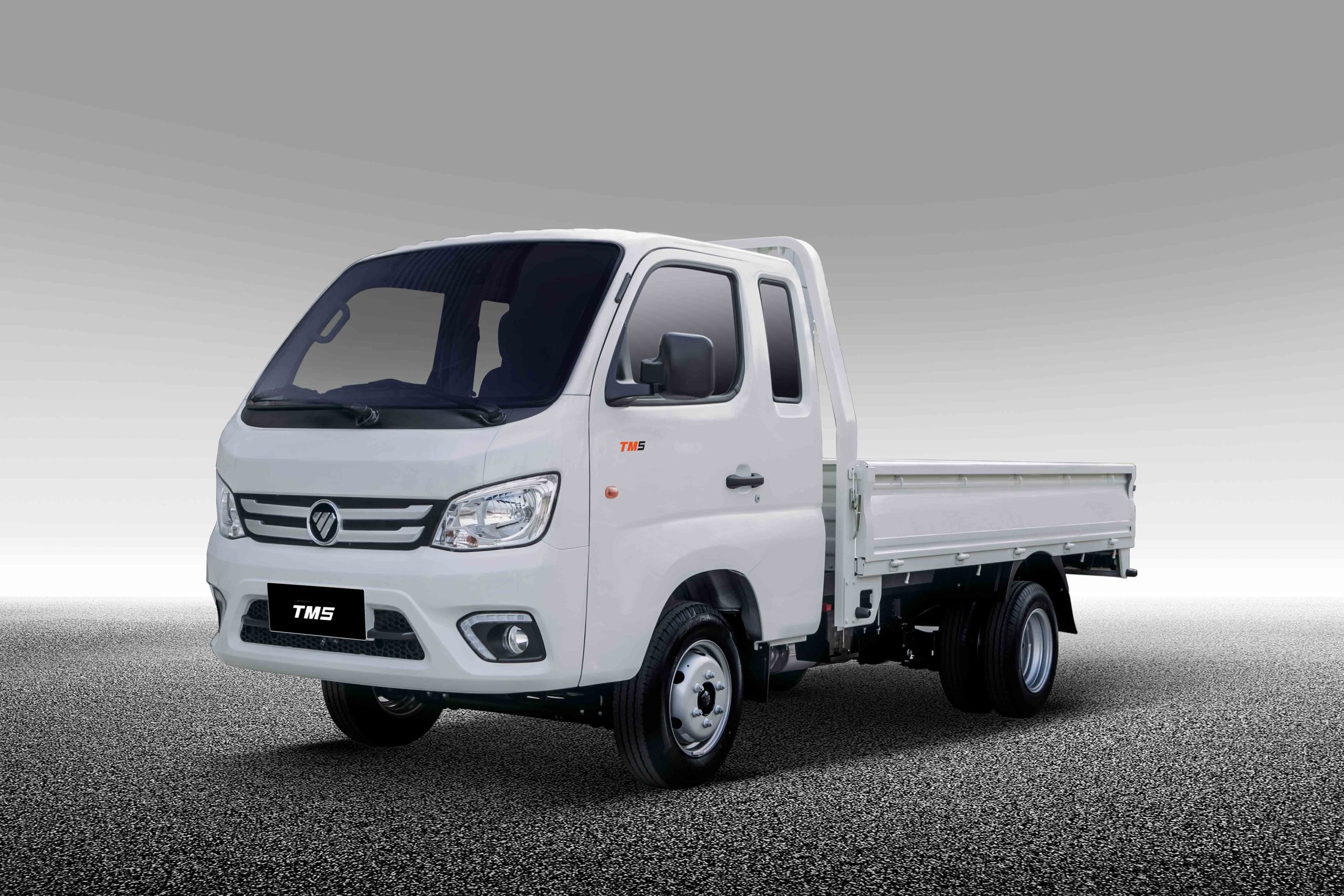 TM5 Cabina Simple