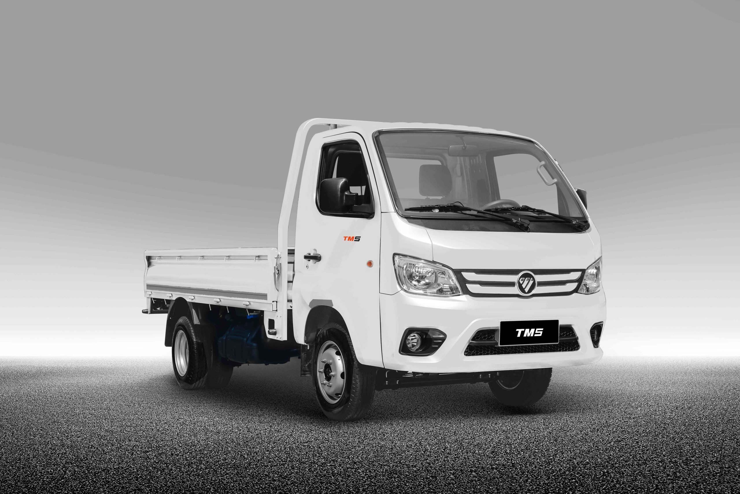 TM5 Cabina Simple