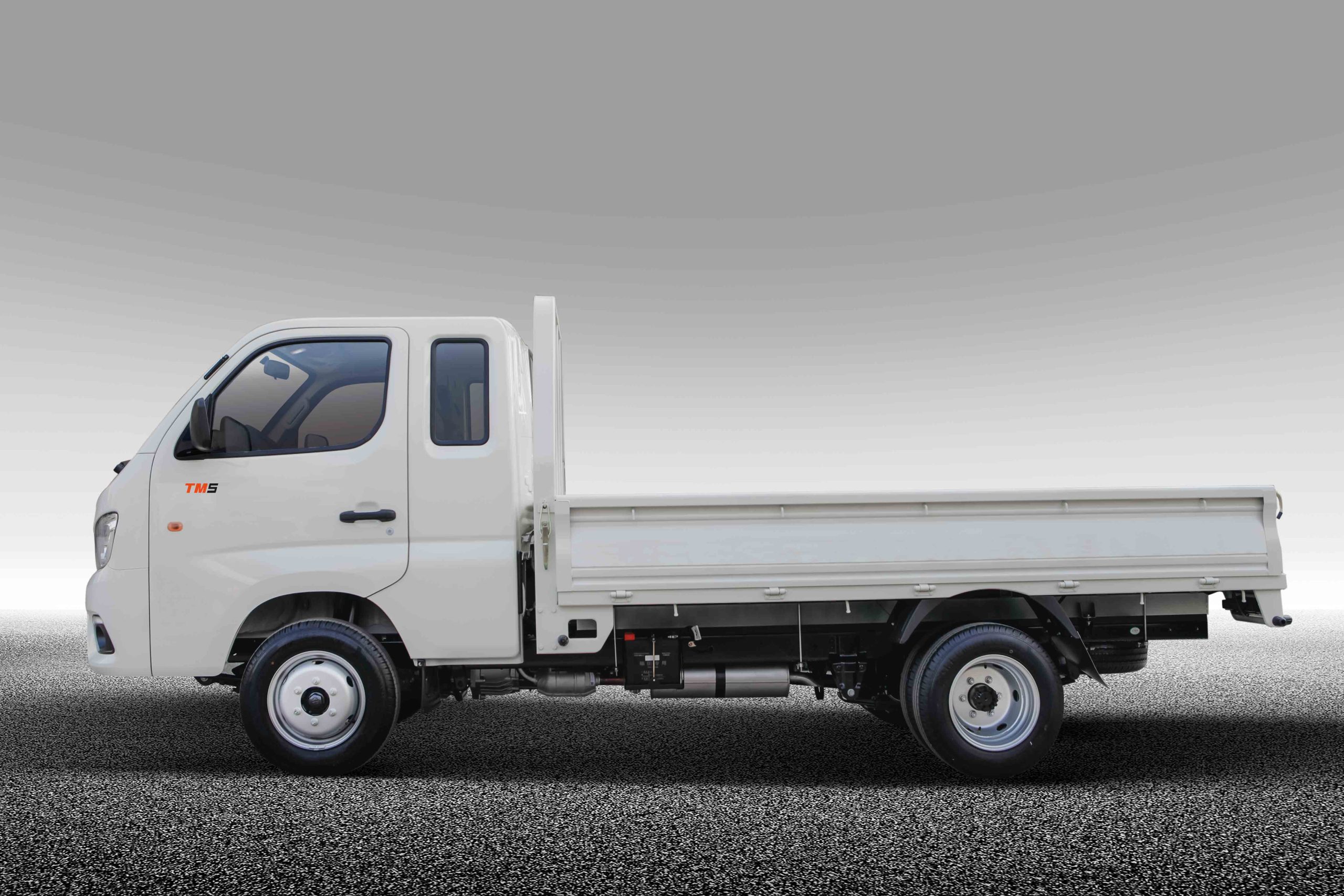 TM5 Cabina Simple