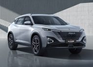 DONGFENG MAGE