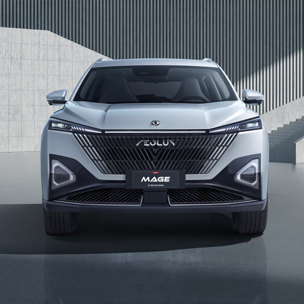 DONGFENG MAGE