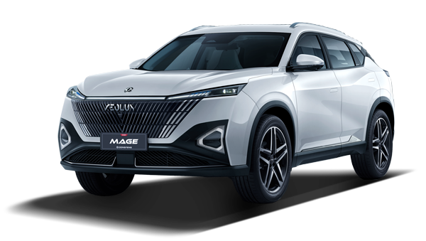 DONGFENG MAGE