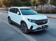DONGFENG T5 L