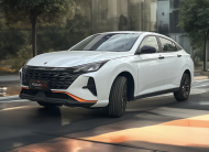 DONGFENG Y3